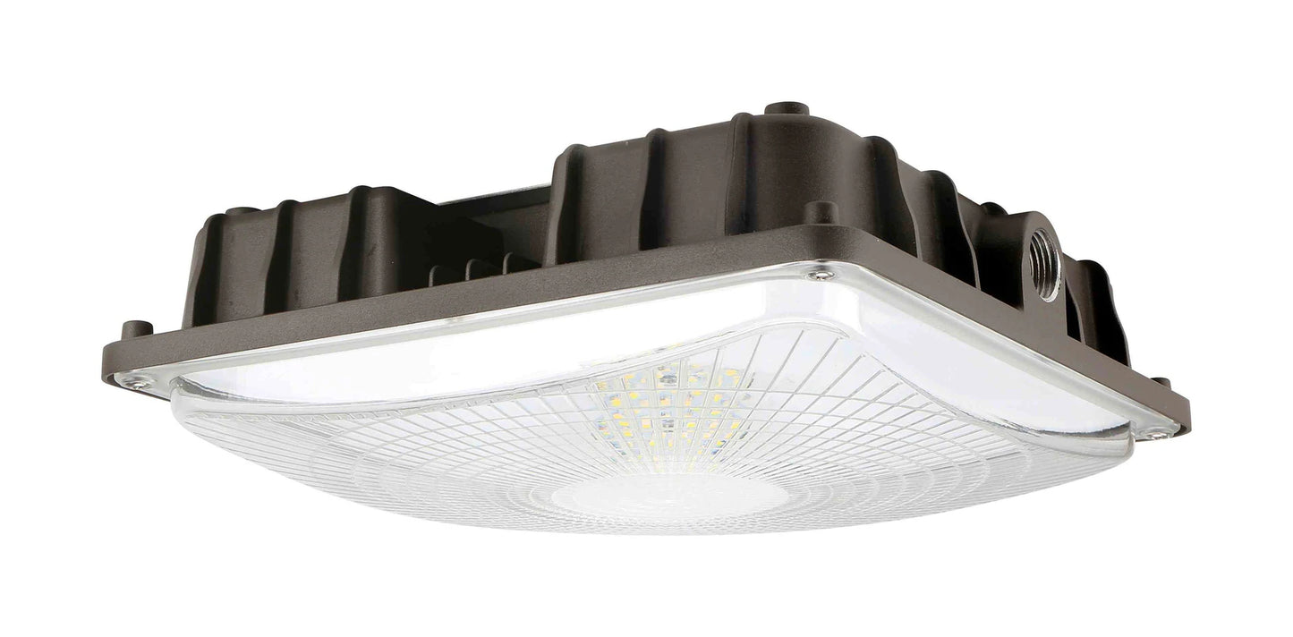 Canopy Light