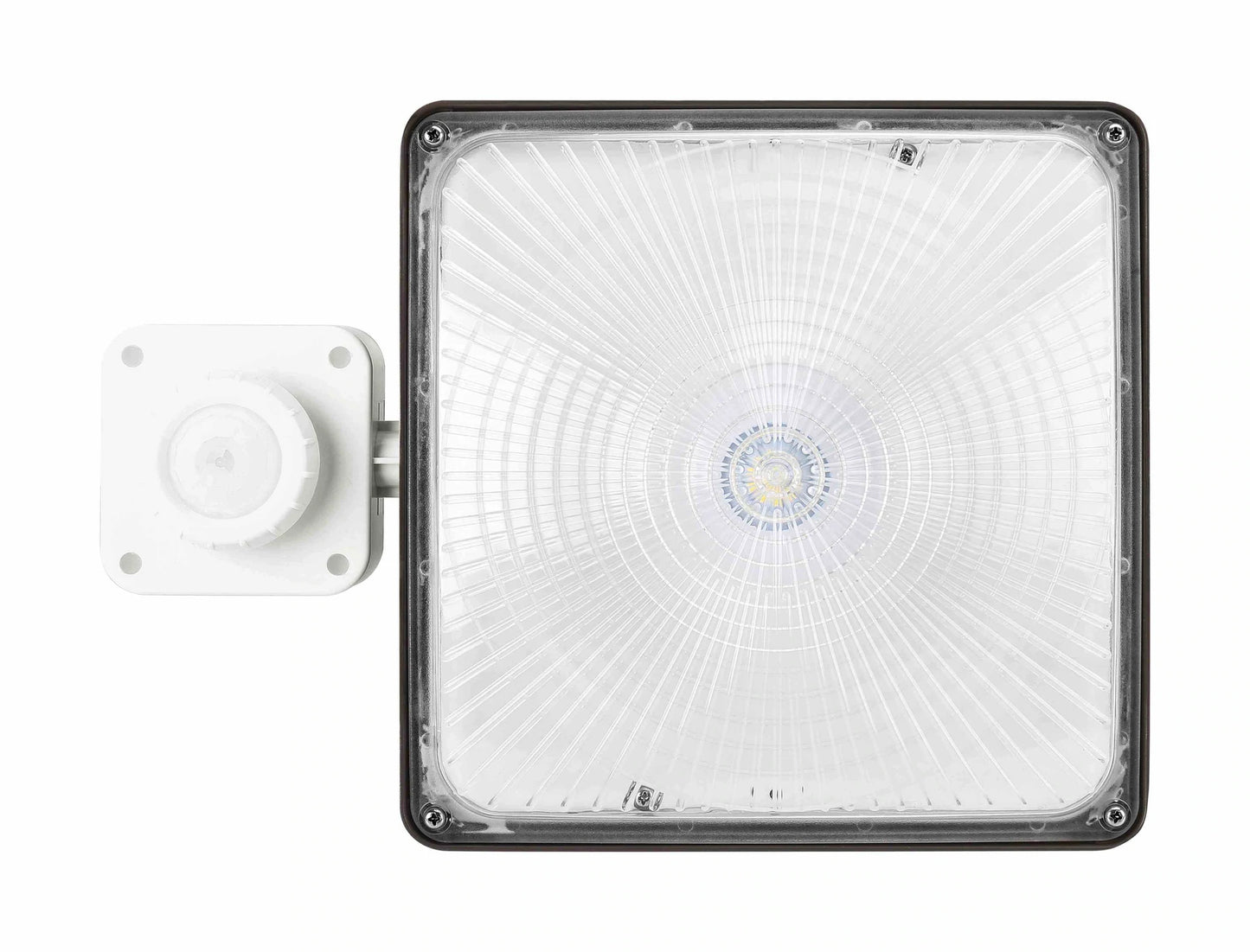 Canopy Light